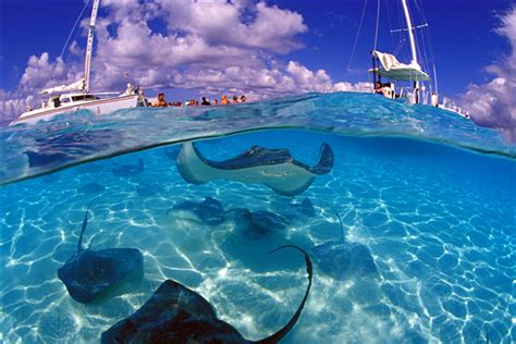 Travel with Val | Stingray City, Grand Cayman