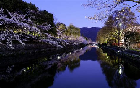 Kyoto Cherry Blossom Desktop Wallpapers - Top Free Kyoto Cherry Blossom ...