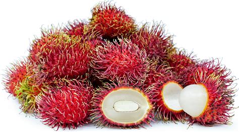 Rambutan Information and Facts