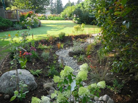 Rain Garden & LID Program | Kitsap Conservation District