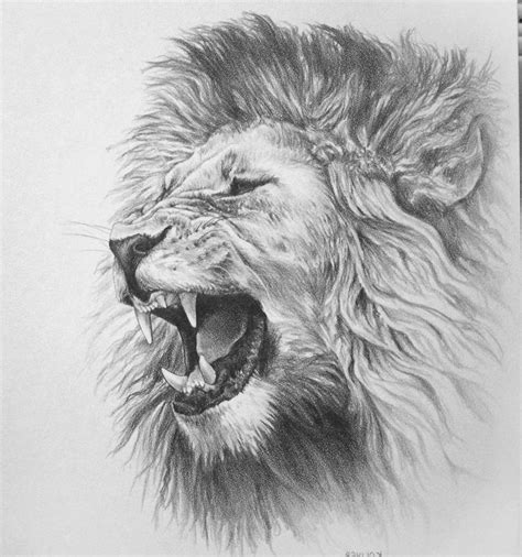 487 best Animals of the Wild Grayscale images on Pinterest | Big cats ...