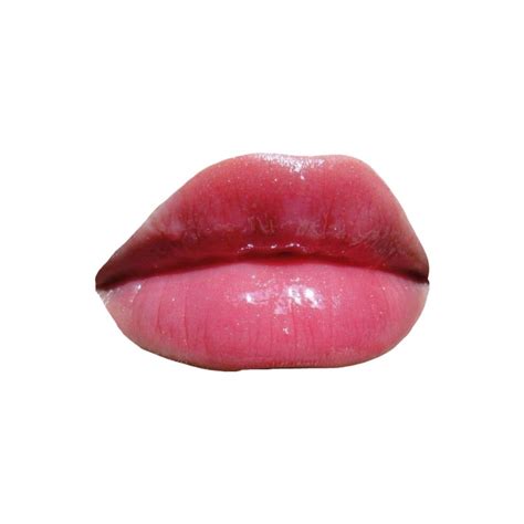 Pink red lips polyvore moodboard filler mouth | Lips png, Png fillers ...