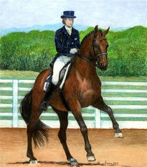 "Hanoverian Dressage Horse Portrait" by Oldetimemercan | Redbubble