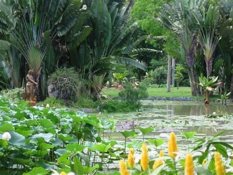 Rio de Janeiro Botanical Garden (Jardim Botanico), Rio de Janeiro ...