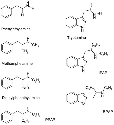 The chemical structure of trace amines (phenylethylamine, tryptamine ...