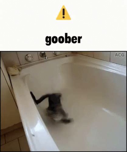 Goober Kitty GIF - Goober Kitty Crazy Cat - Discover & Share GIFs