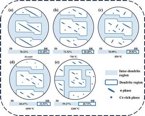 A schematic diagram illustrating the microstructure evolution of the Al ...