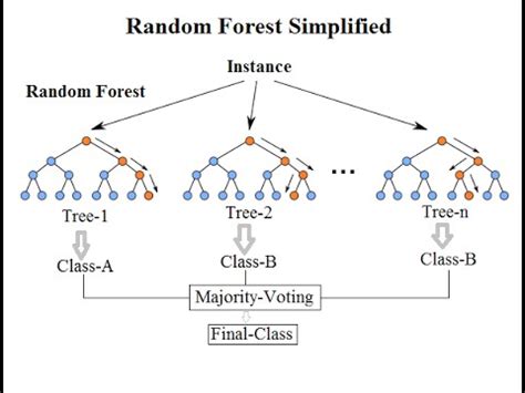 Random Forest based Classification - YouTube