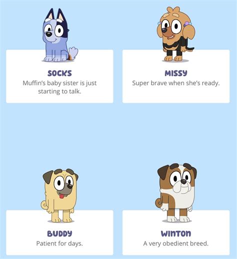 Bluey Cartoon Dog Characters