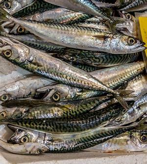 Top 9 Anchovies Nutrition facts and Health benefits