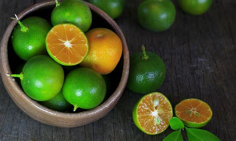 Calamansi: The Sour Filipino Fruit That Isn't a Lime or Lemon - Manila Sun