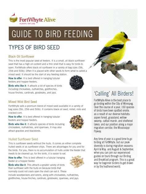 Bird Feeding Guide | PDF | Birds | Ornithology