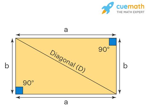 Angles of Rectangle - Interior Angles, Diagonal Angles and Sum of Angles