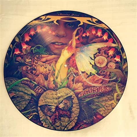 Spyro Gyra "Morning Dance" picture disc vinyl - very rare | Dance ...