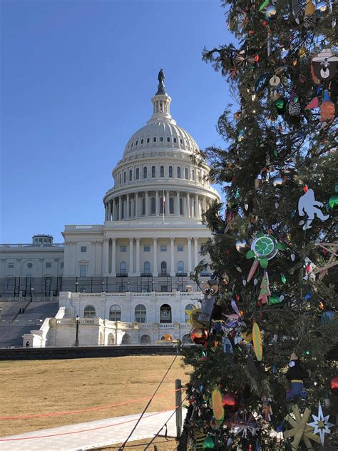 LIT's Living on Capitol Hill (Hell!?): Capitol Christmas Tree