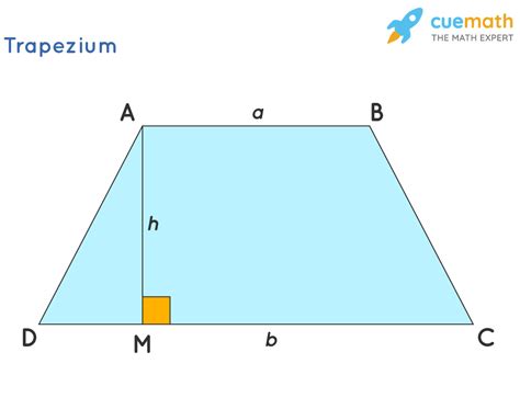 Properties Of Trapezium