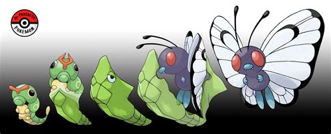 In-Progress Pokemon Evolutions | #010.5 - Caterpie’s voracious appetite ...