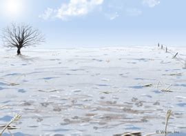 Snowy Field Wallpaper - The Wajas Wiki