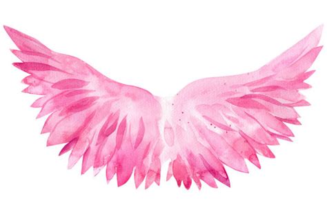 Pink Wings