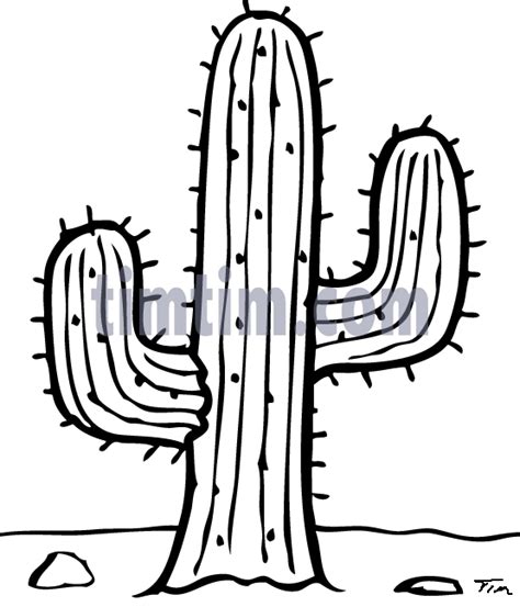 Cactus Drawing at GetDrawings | Free download