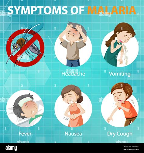 Malaria symptoms cartoon style infographic Stock Vector Image & Art - Alamy