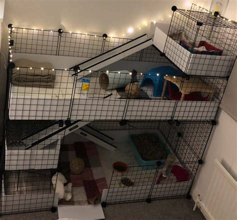 Gallery c c guinea pig cages mesh and grid cages for pets – Artofit