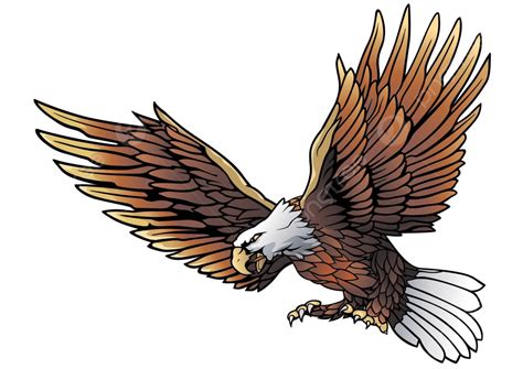 Flying Bald Eagle Drawing Usa Art Vector, Drawing, Usa, Art PNG and ...