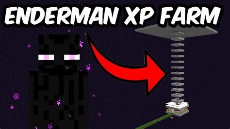 Minecraft Enderman XP Farm 1.20.2 - BEST DESIGN - YouTube