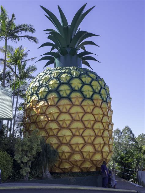 The Big Pineapple - heritage listed tourist attraction nea… | Flickr