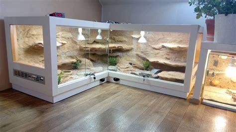 Very cool vivarium | Snake terrarium, Reptile terrarium, Reptile room