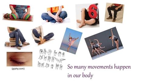 CBSE Class 6 Science - Body Movements - Part 1 | Body, Movement, Body ...