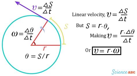 6.2 Linear and Angular Velocity Diagram | Quizlet