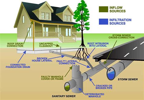 Putting it in perspective: Scientists speak out on sewage | Bay ...