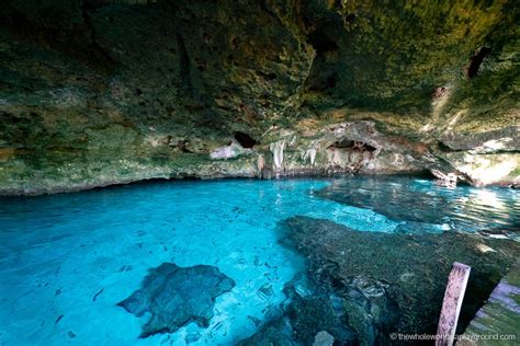 13 Best Cenotes near Playa Del Carmen (2020) | The Whole World Is A ...