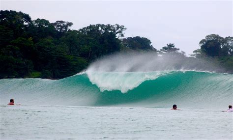 Surfing Bocas Del Toro Panama | Red Frog Bungalows