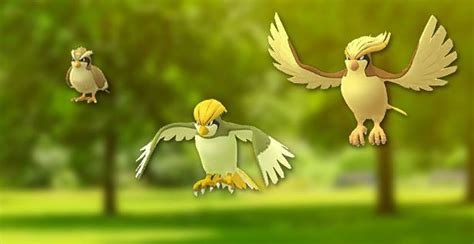 Pikachu Images: Pokemon Lets Go Pikachu Pidgeot Evolution