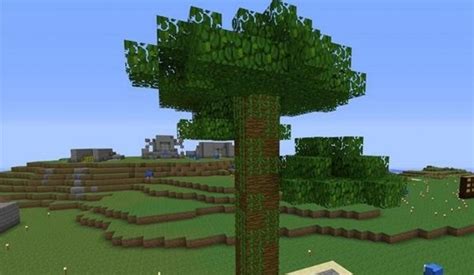 How to grow jungle trees in Minecraft