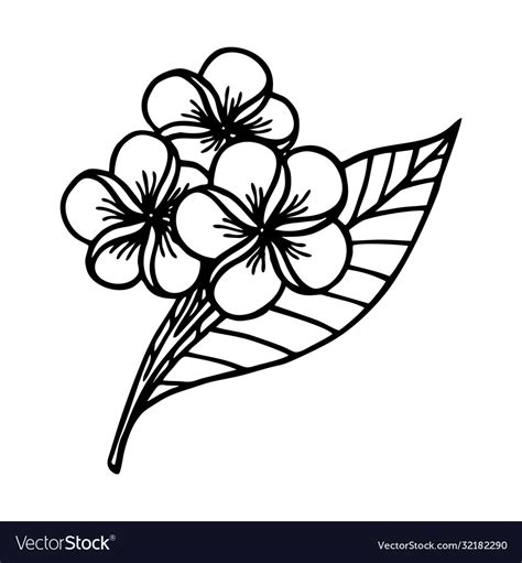 Plumeria Clip Art Black And White