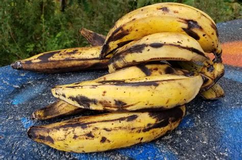 5 Ways to Cook and Prepare Ripe Plantains - Center for Nutrition Studies