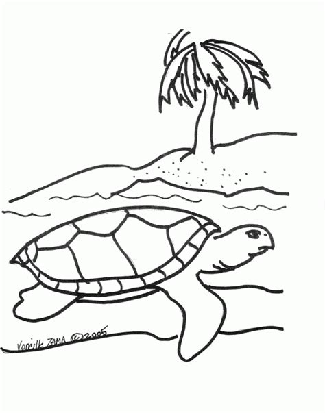 Sea Turtle Outline - Coloring Home