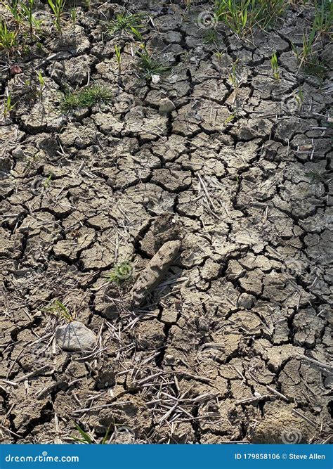 Drought - Cracked Earth - Crop Failure from Low Rainfall Stock Photo ...