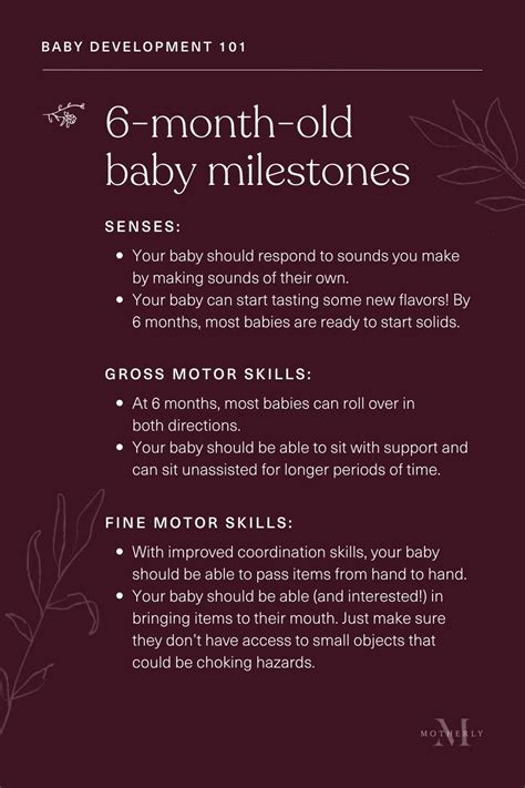 Guide to 6-Month Milestones for Baby - Motherly