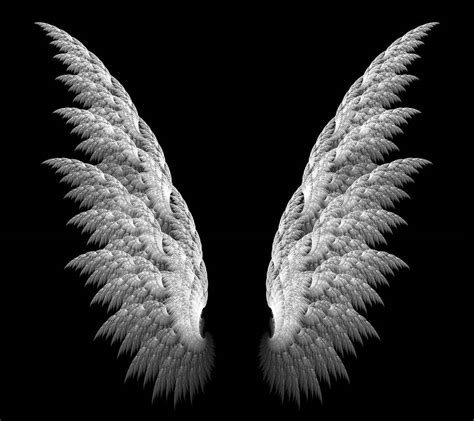 Black Wings Wallpapers - Wallpaper Cave