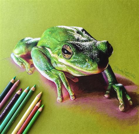 Update more than 79 pencil sketch of frog super hot - seven.edu.vn