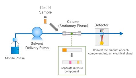 Hplc Chromatogram Analysis