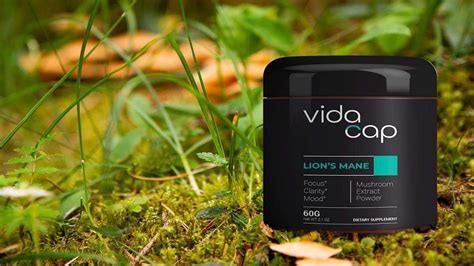 Why Lion's Mane Supplements Are Widely Used to Improve Your Health