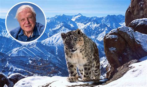 David Attenborough Planet Earth II photographs released ahead of new ...