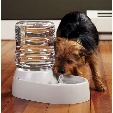 Dog & Cat Water Fountain – 62 Oz. Automatic Pet Fountain – Dog Water ...