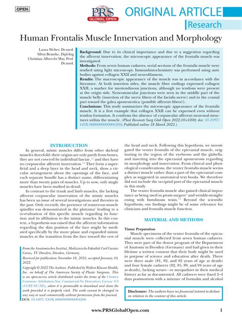 (PDF) Human Frontalis Muscle Innervation and Morphology