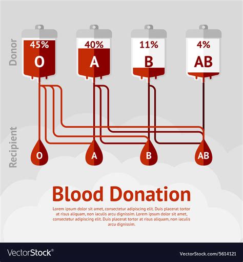 Blood donation and types concept scheme Royalty Free Vector